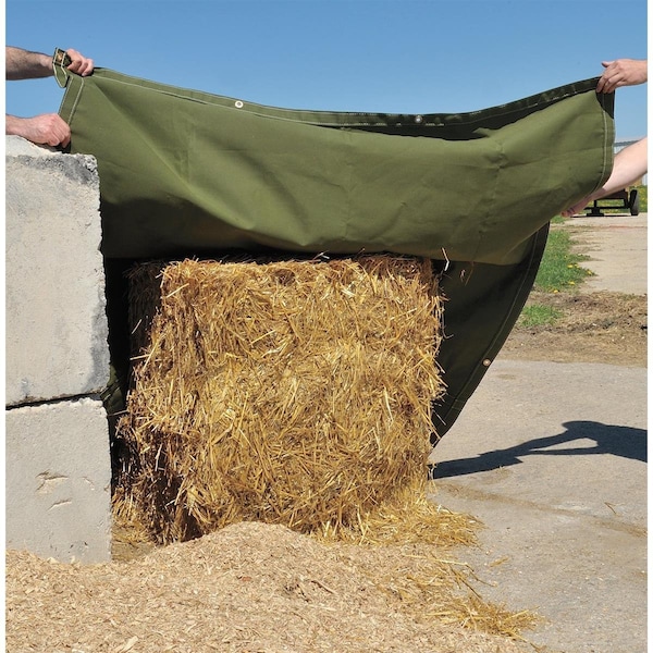 3.1 Tarp, Polyester